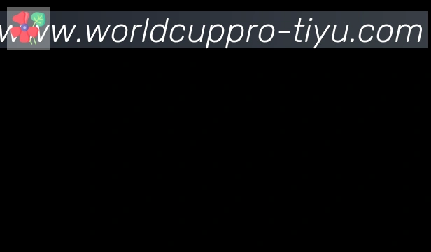 世界杯赛事官方网站合作伙伴